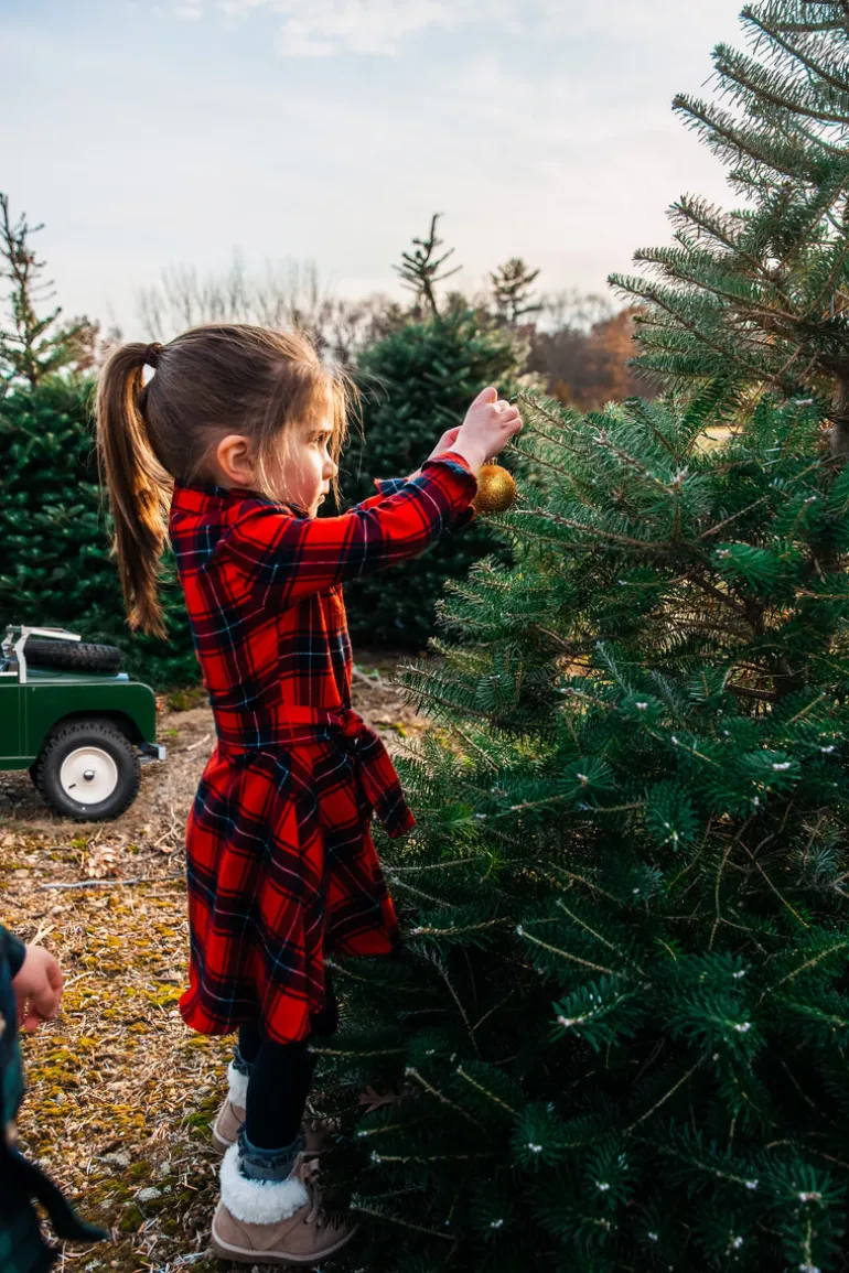 Apple Pie Skillet Kids Flannel Dress