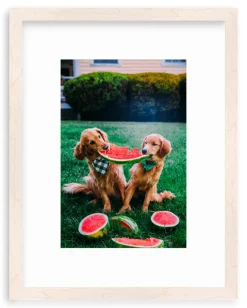 A Slice Of Summer