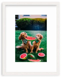 A Slice Of Summer