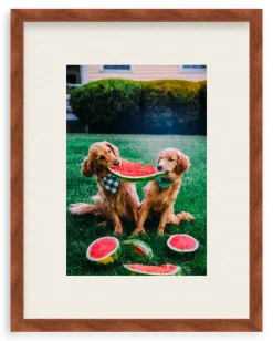 A Slice Of Summer