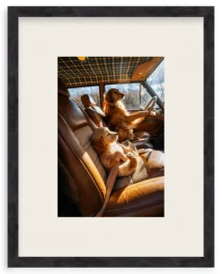 Bennie, Are We There Yet?