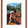 Doggie Paddle