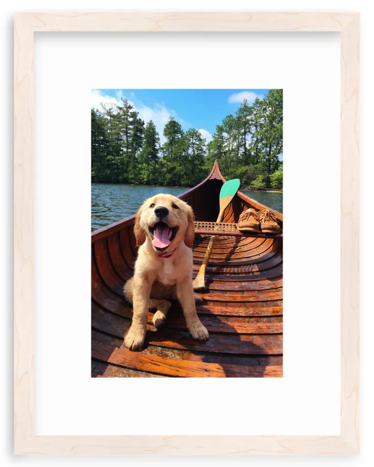 Doggie Paddle