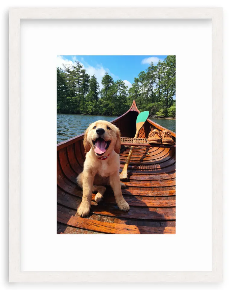 Doggie Paddle