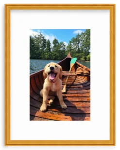 Doggie Paddle