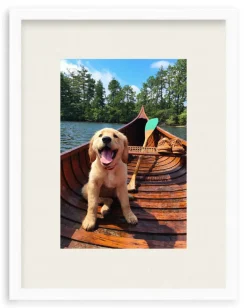 Doggie Paddle