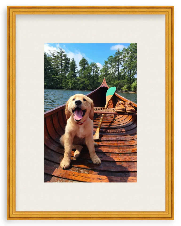 Doggie Paddle