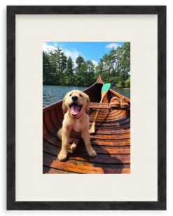 Doggie Paddle
