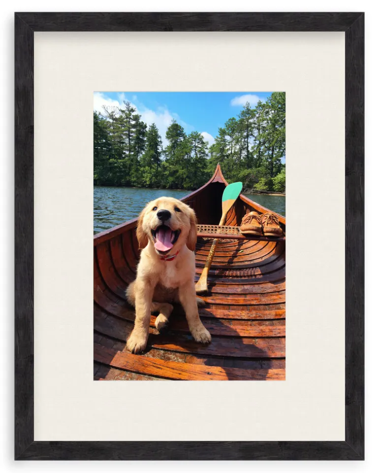 Doggie Paddle