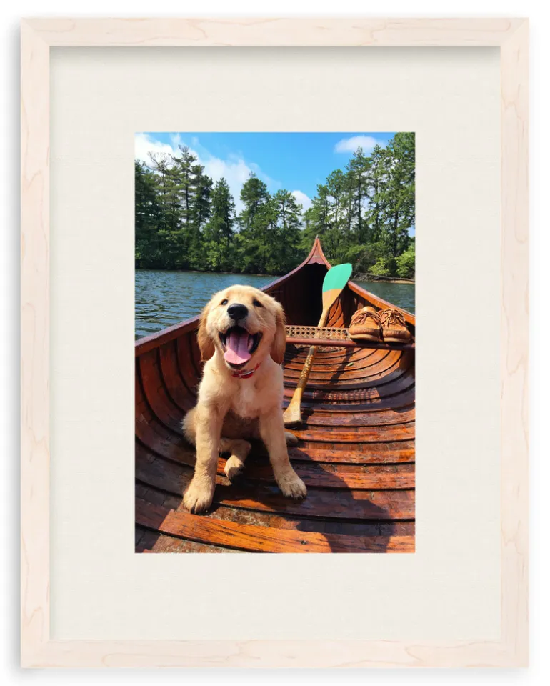 Doggie Paddle
