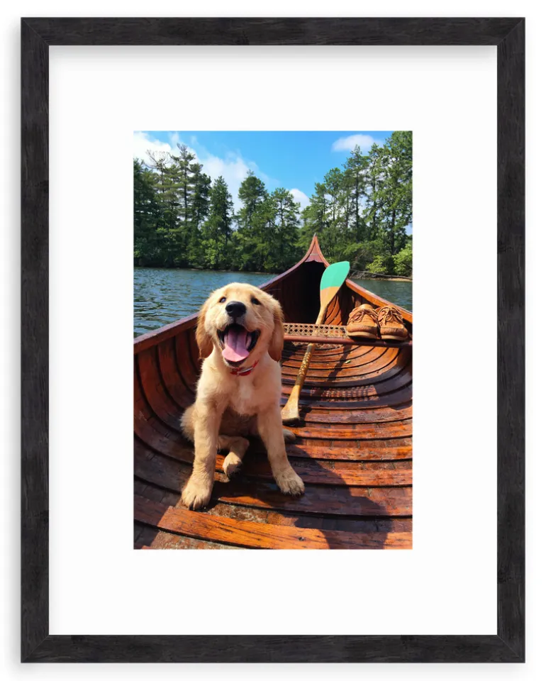 Doggie Paddle