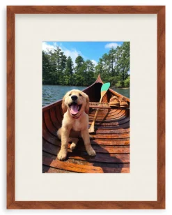 Doggie Paddle