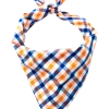 Falmouth Picnic Bandana