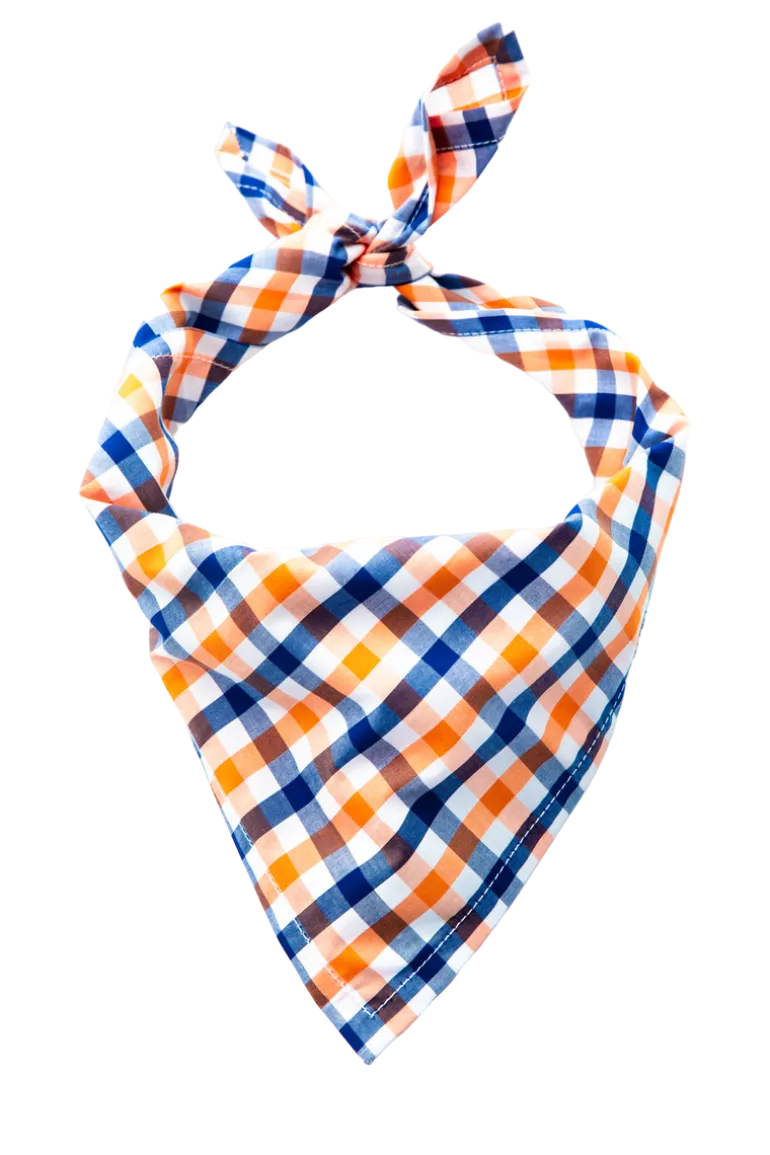 Falmouth Picnic Bandana