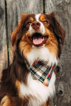 Hyannis Patchwork Madras Bandana