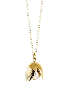 Little Shellfish