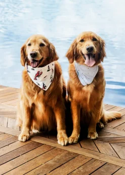 Lobster Harbor Bandana