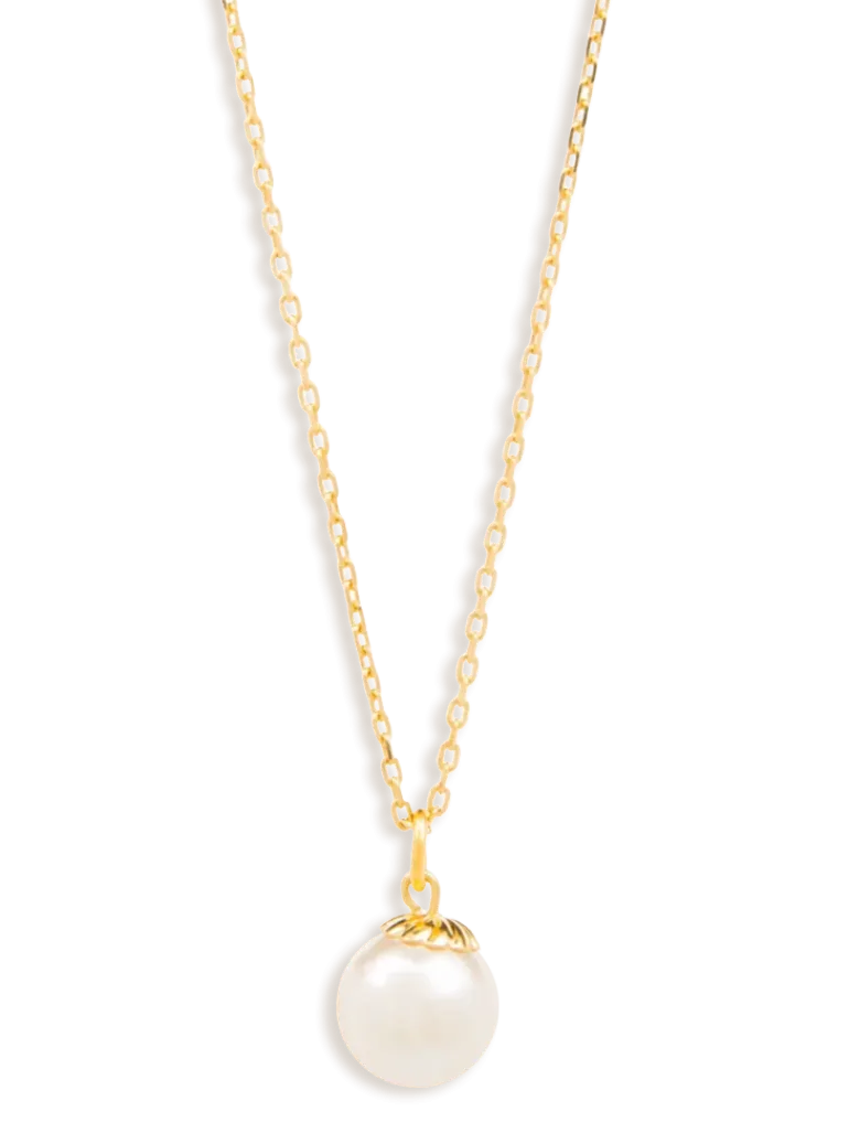 Oyster Elegance