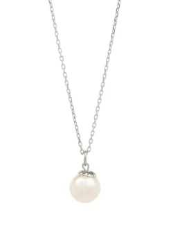 Oyster Elegance