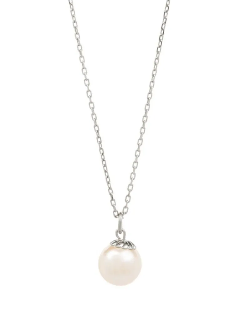 Oyster Elegance