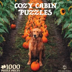 The Great Pumpkin Patch Puzzle