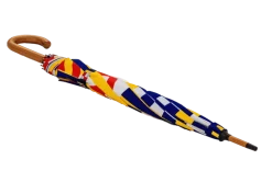 The Maritime Umbrella