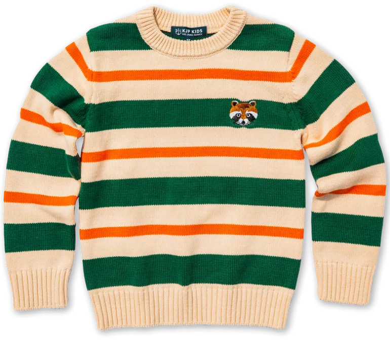 Wilderness Raccoon Striped Kids Sweater